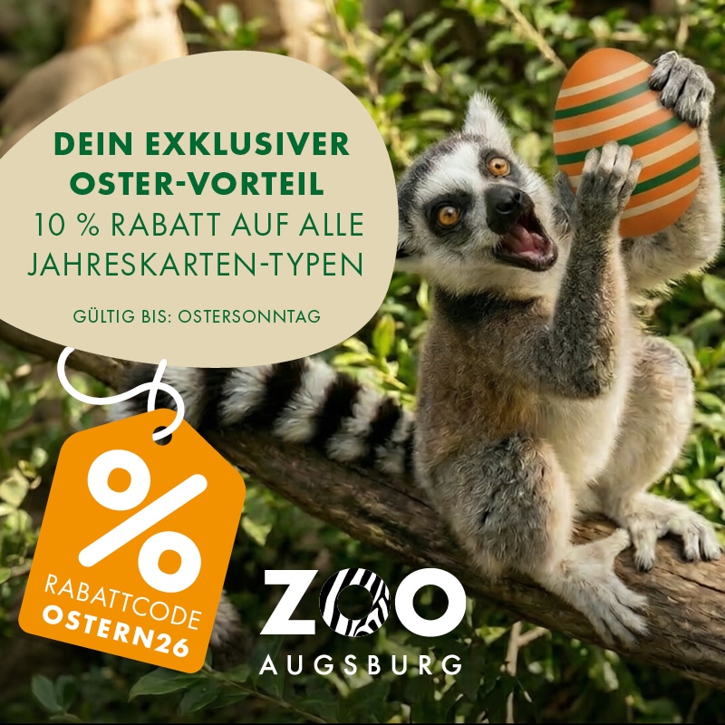 KACHELN ZOO Augsburg 800x800px 2026 Osteraktion