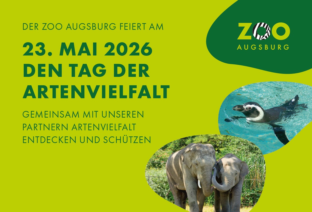 Banner Tage Der Artenvielfalt 2026