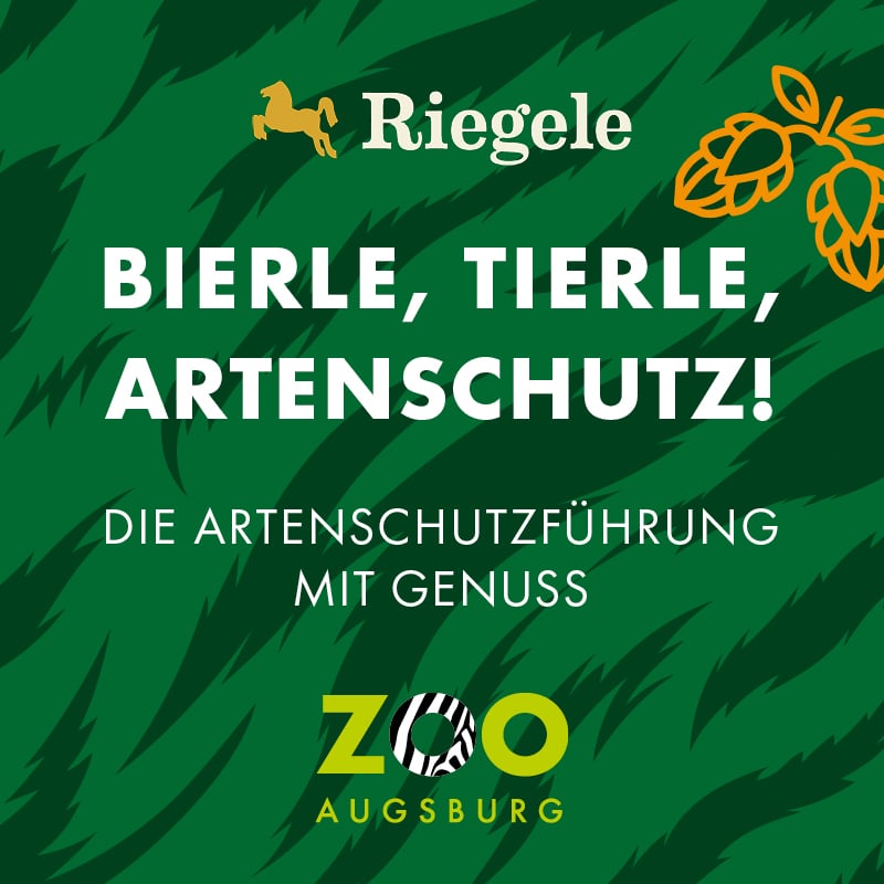 KACHEL ZOO Augsburg Bierle Tierle Artenschutz 2026