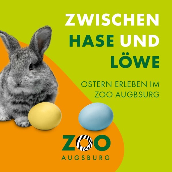 KACHELN ZOO Augsburg 800x800px 2025 Ostern