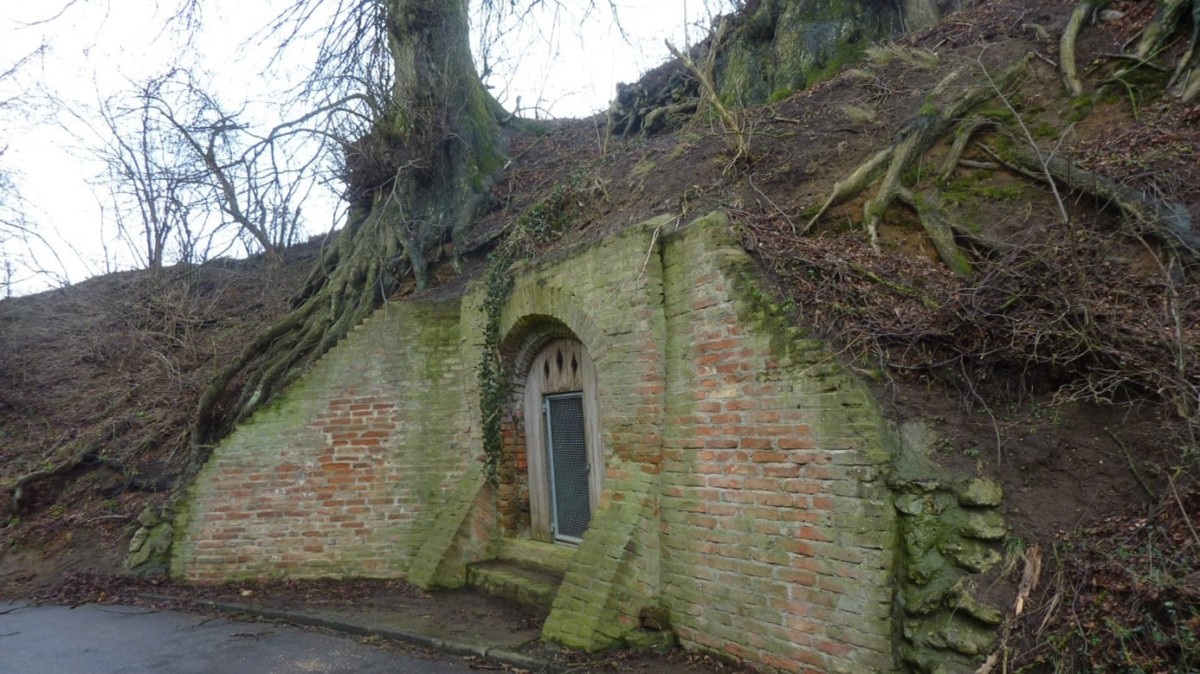 05 2026 Bild Fledermausquartier