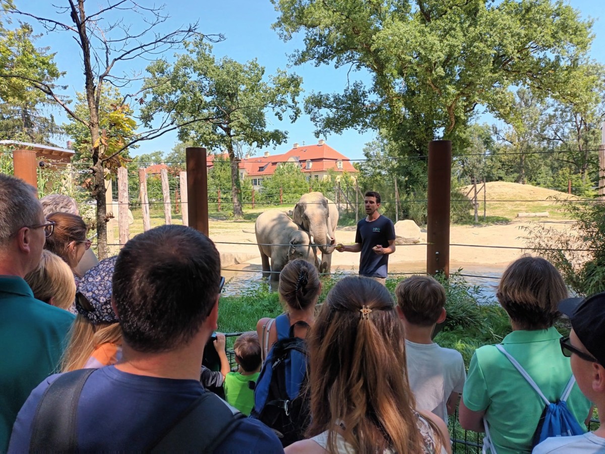 Bild 3 Elefantentag Zoo Augsburg